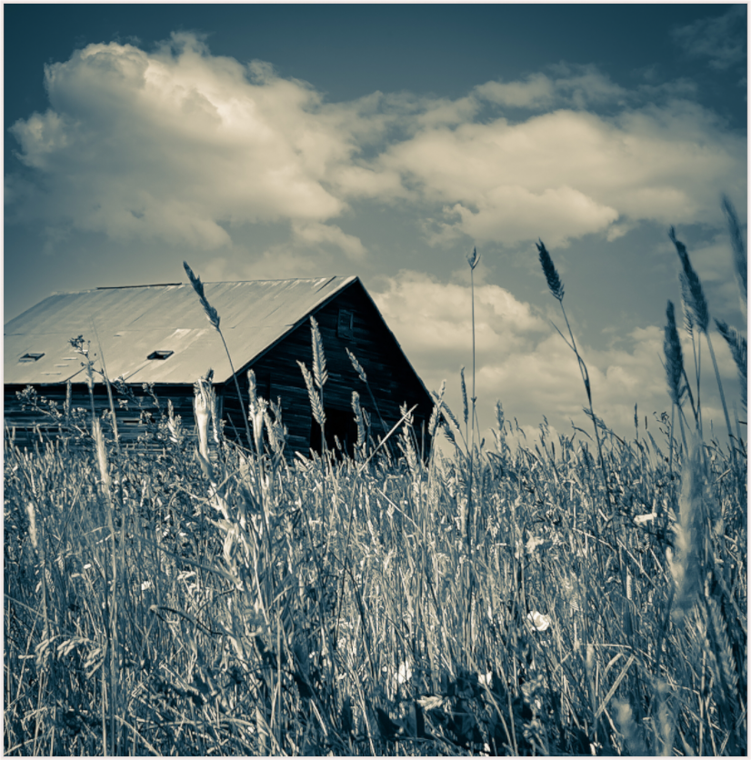 Abandoned & Forgotten