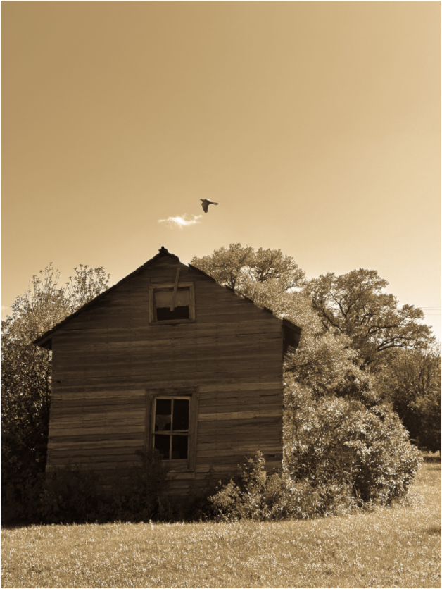 Main image Taking Flight: Abandoned Homestead with Bird Fine Art Print